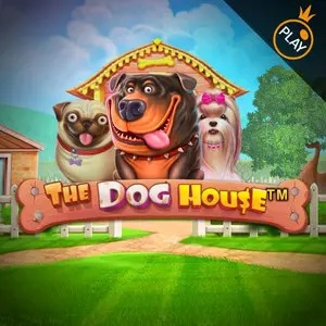 Dog House
